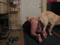 Excited man with time on his hands welcomes anal fucking with K9 in this animal porn movie